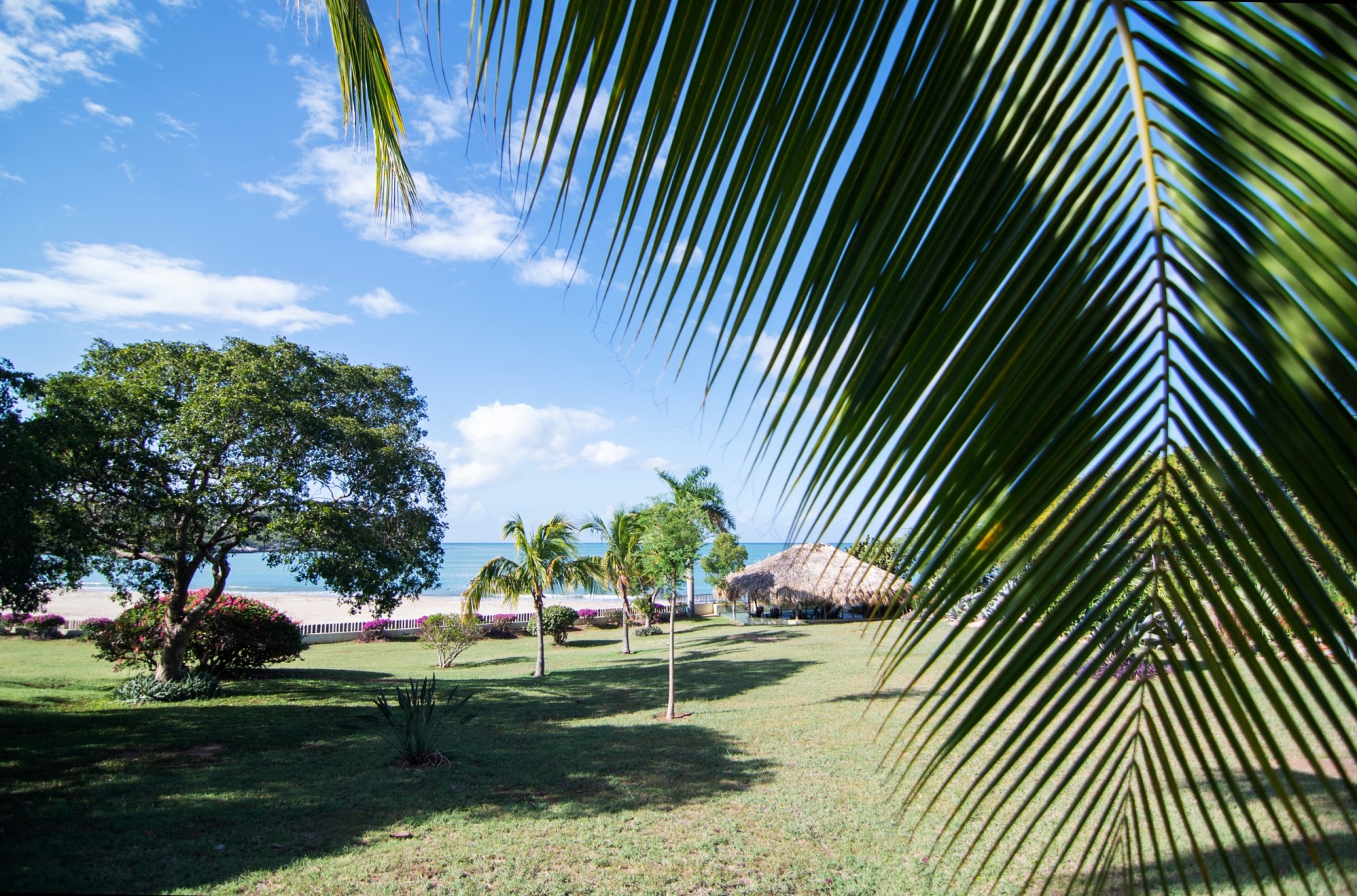 Official site image from MycoMeditations showing retreat setting, program materials, or guest spaces.