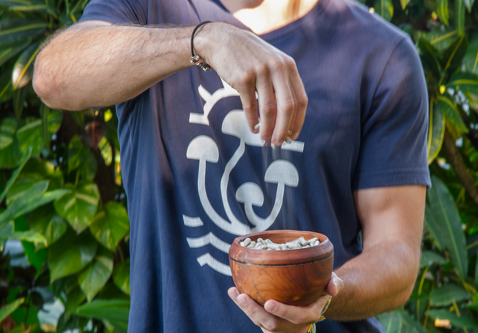 Get the most out of your psilocybin healing experience with proper integration.