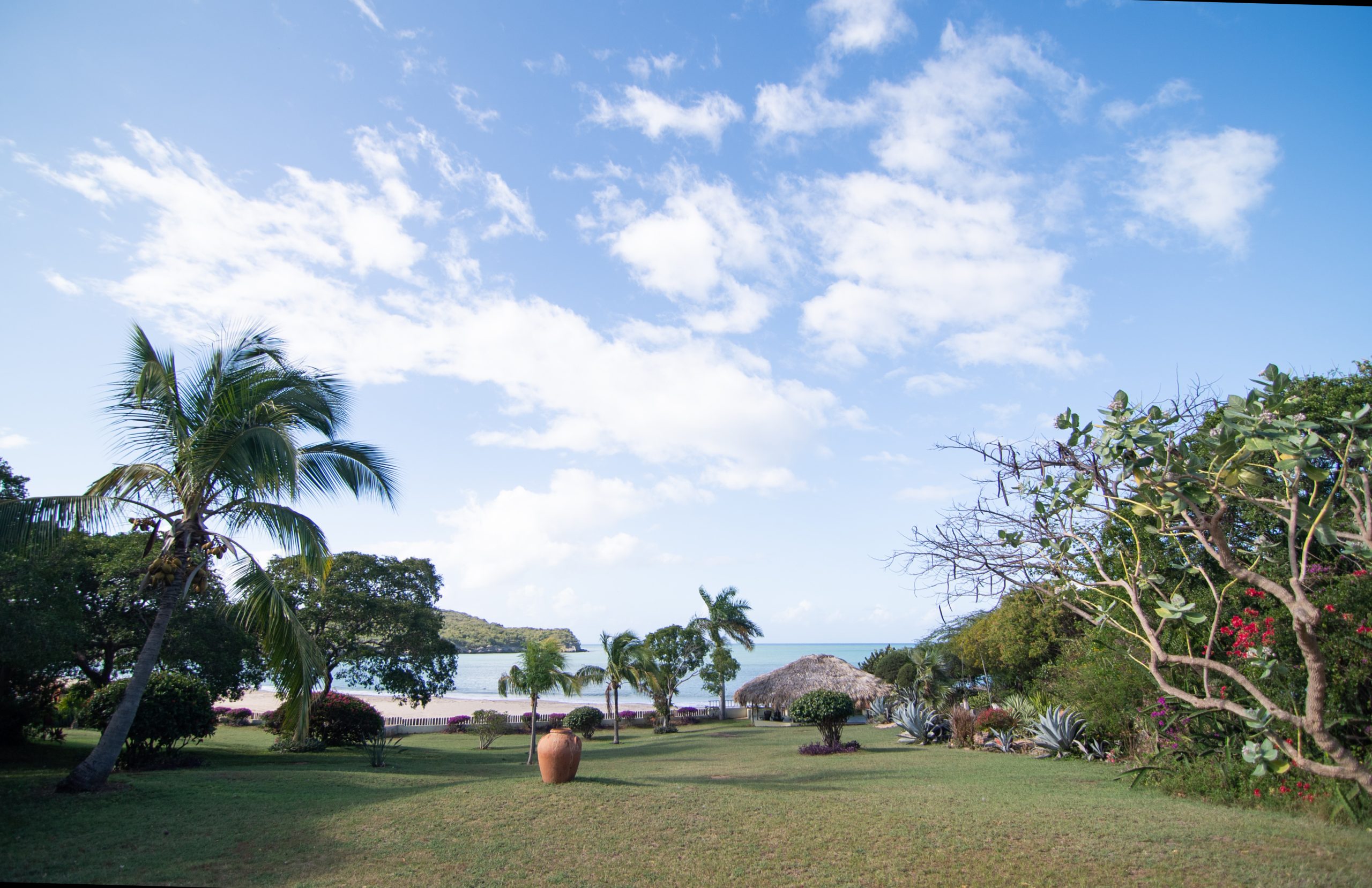 view from mycomeditations' blue marlin psilocybin retreat