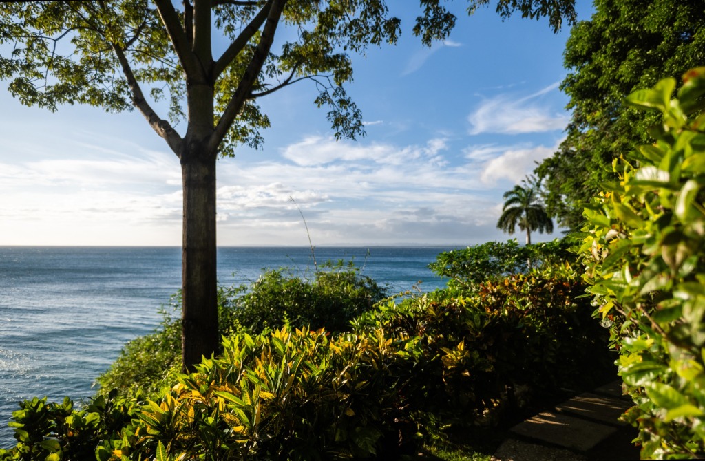 View of the Caribbean sea from MycoMeditations' Bluefields Bay luxury psilocybin retreat