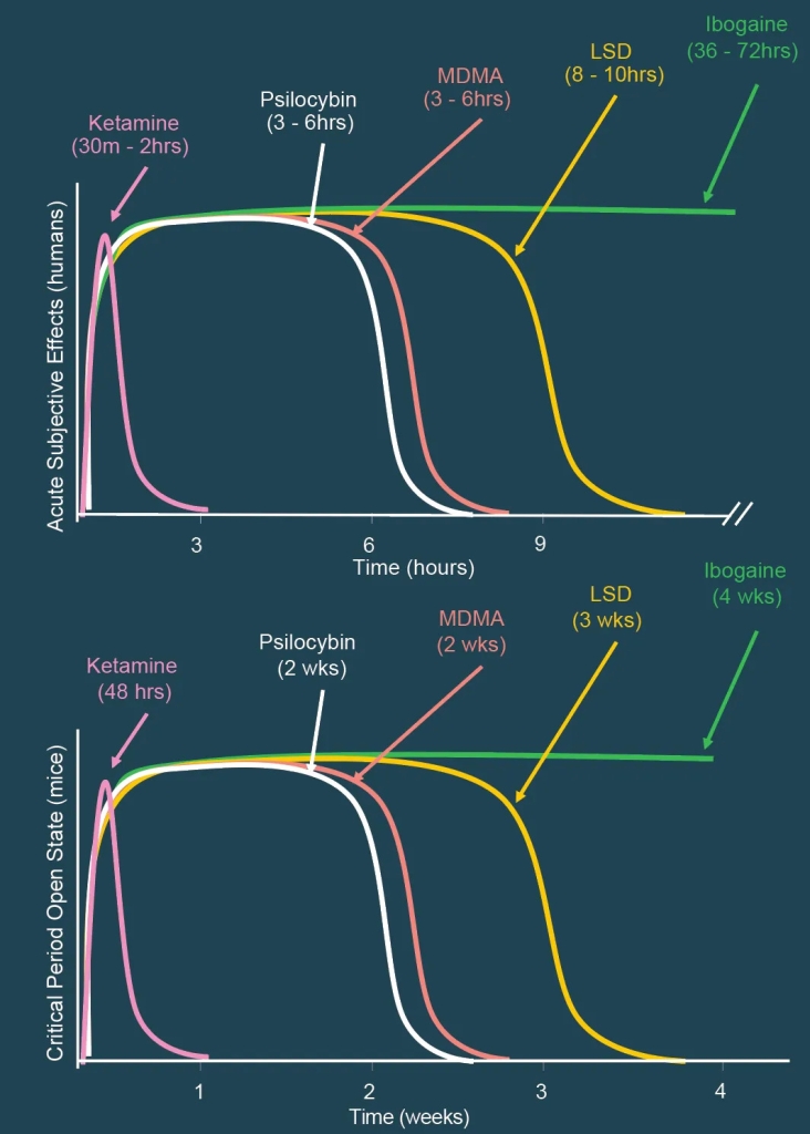 Line graphs comparing the duration of open critical periods between different psychedelics